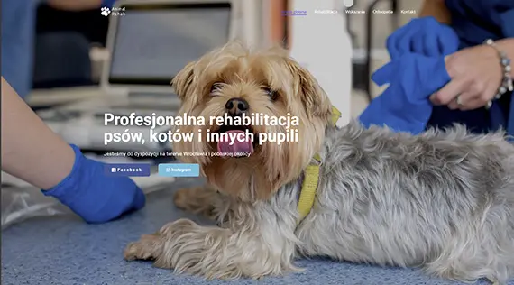 Animal Rehab